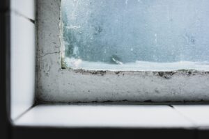 Schimmel am Fensterrahmen_greenox